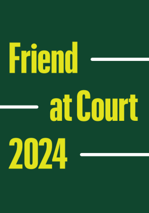 Friend at Court 2024 Friend at Court 2024